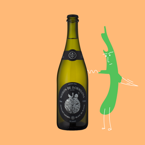 Not Shit Fun Wines Petillant Naturel Blanc de Blancs 2022